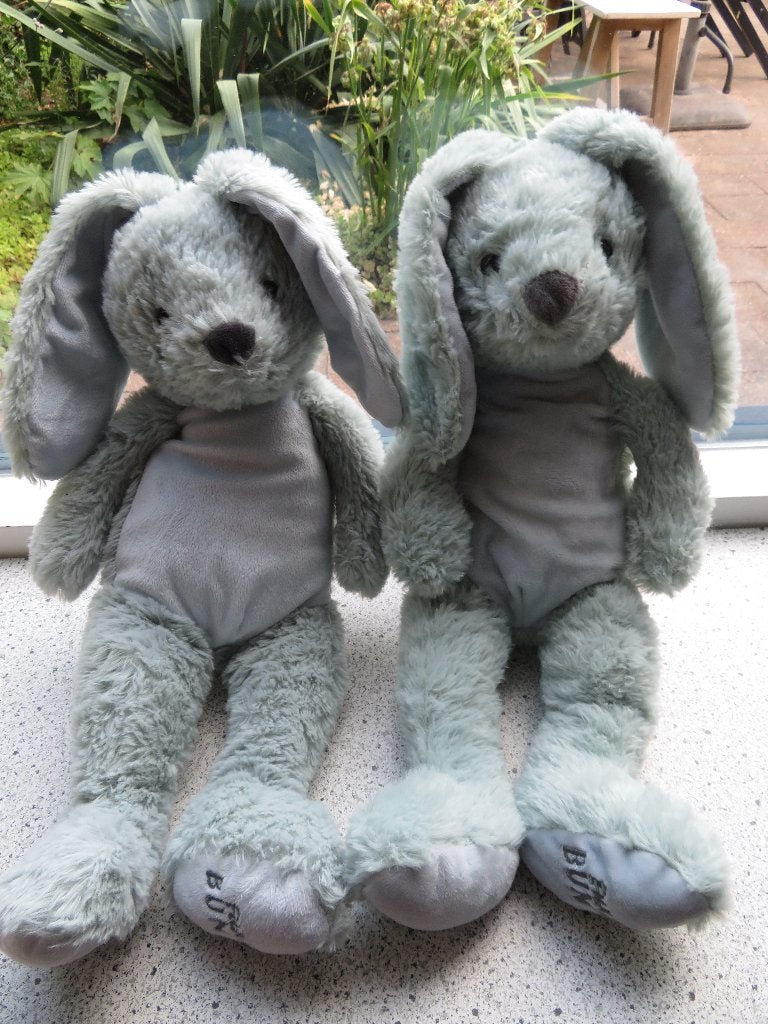 Konijn merk Evora FUNNY BUNNY Kruidvat groenig, Kinderen en Baby's, Groen, Verzenden, Wasbaar, Middelgroot (20 tot 80 cm)