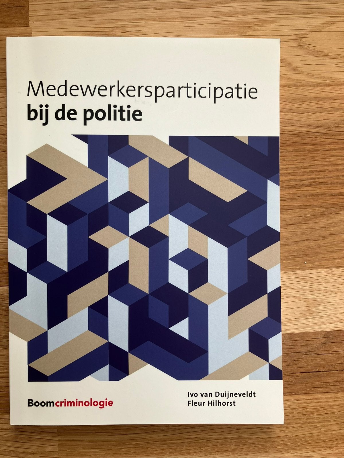 Fleur Hilhorst- Medewerkersparticipatie bij de politie, Ophalen of Verzenden, Zo goed als nieuw, Maatschappij en Samenleving, Nederland