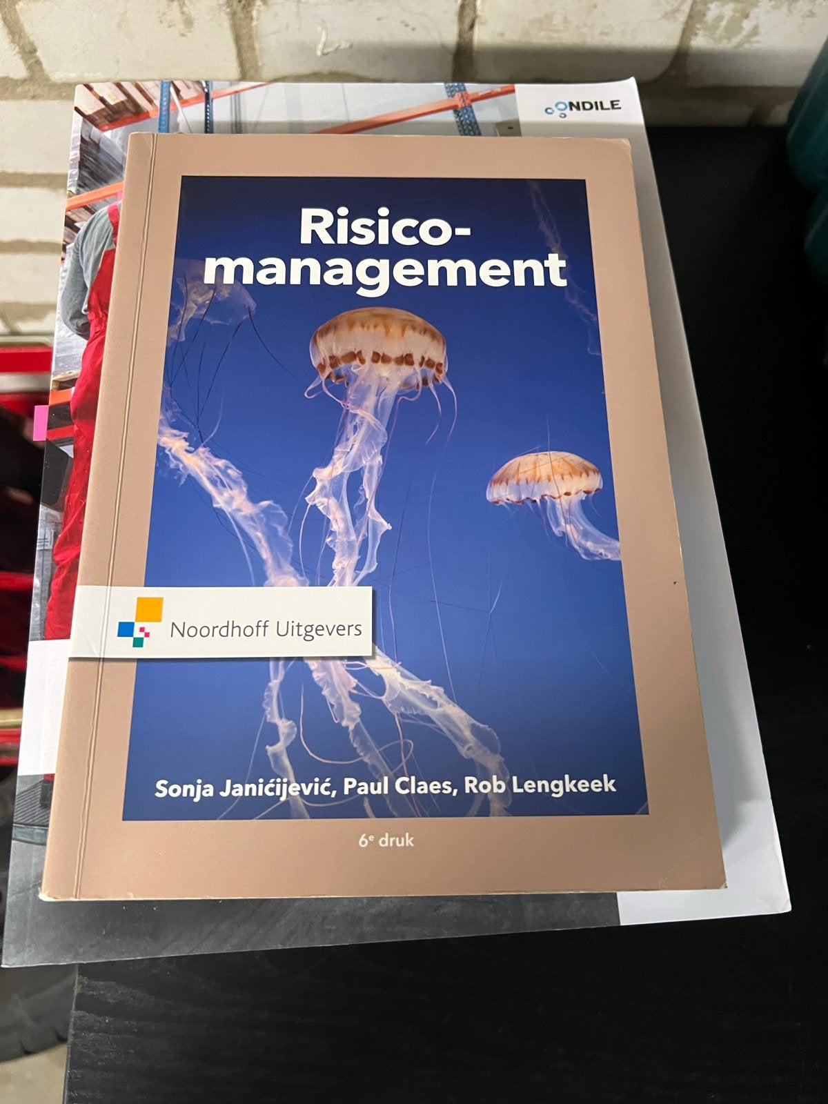 Risicomanagement - Sonja Janičijević, Paul Claes, Rob Lengke, Ophalen of Verzenden, Gamma, Gelezen, HBO