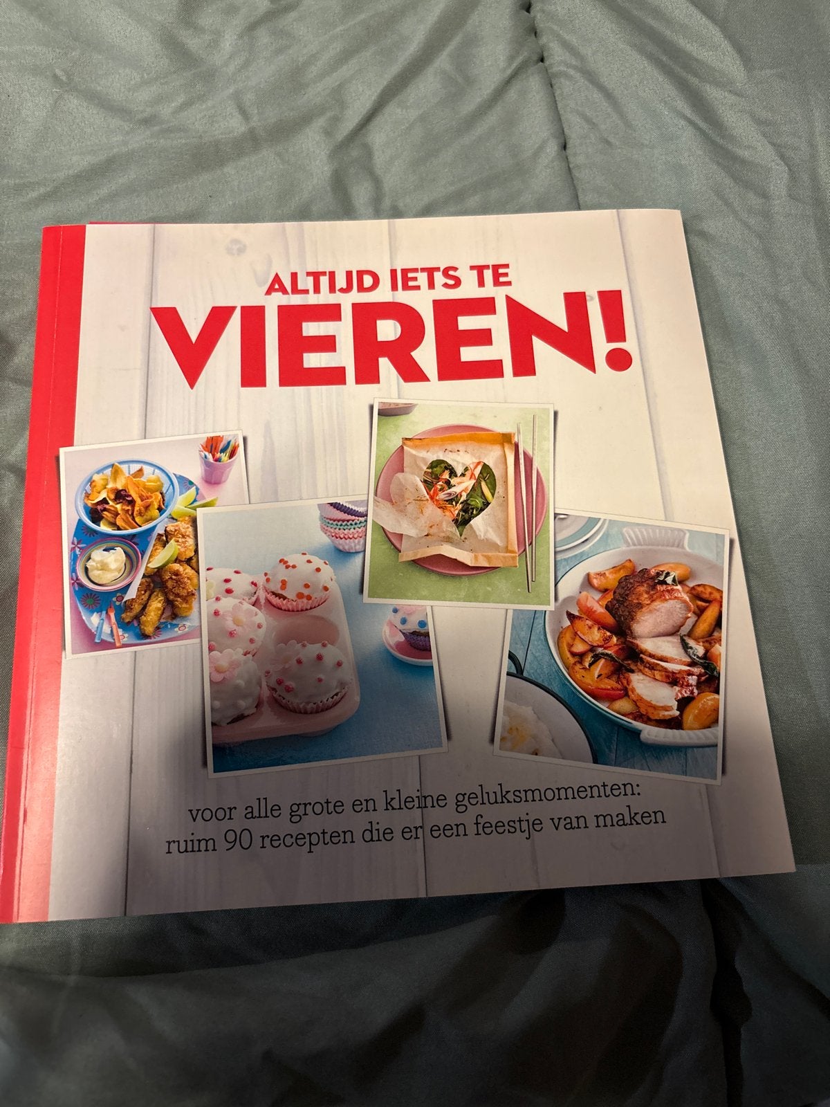 Altijd iets te vieren! Albert Heijn kookboek, Ophalen of Verzenden, Zo goed als nieuw, Overige gebieden, Voorgerechten en Soepen