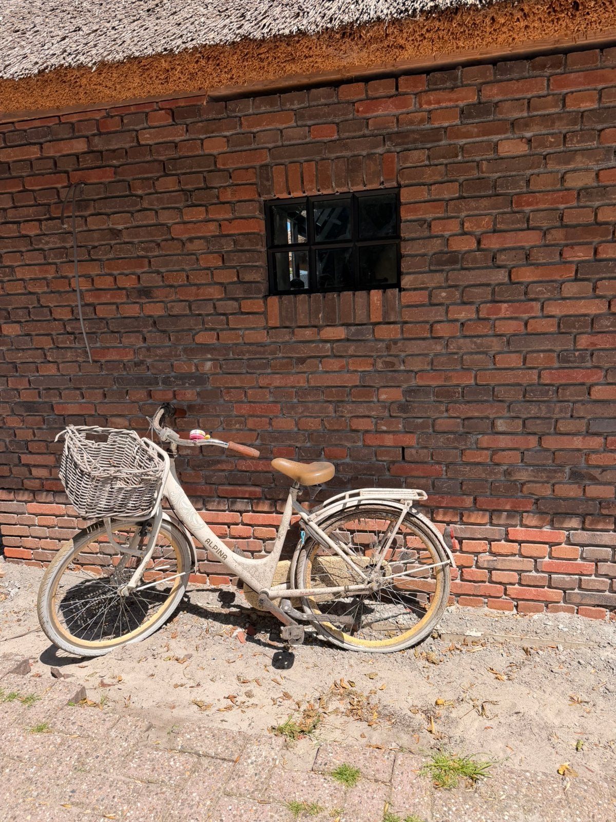 5 opknap kinderfietsen cortina cube batavus alpina, Ophalen, Zo goed als nieuw, 24 inch
