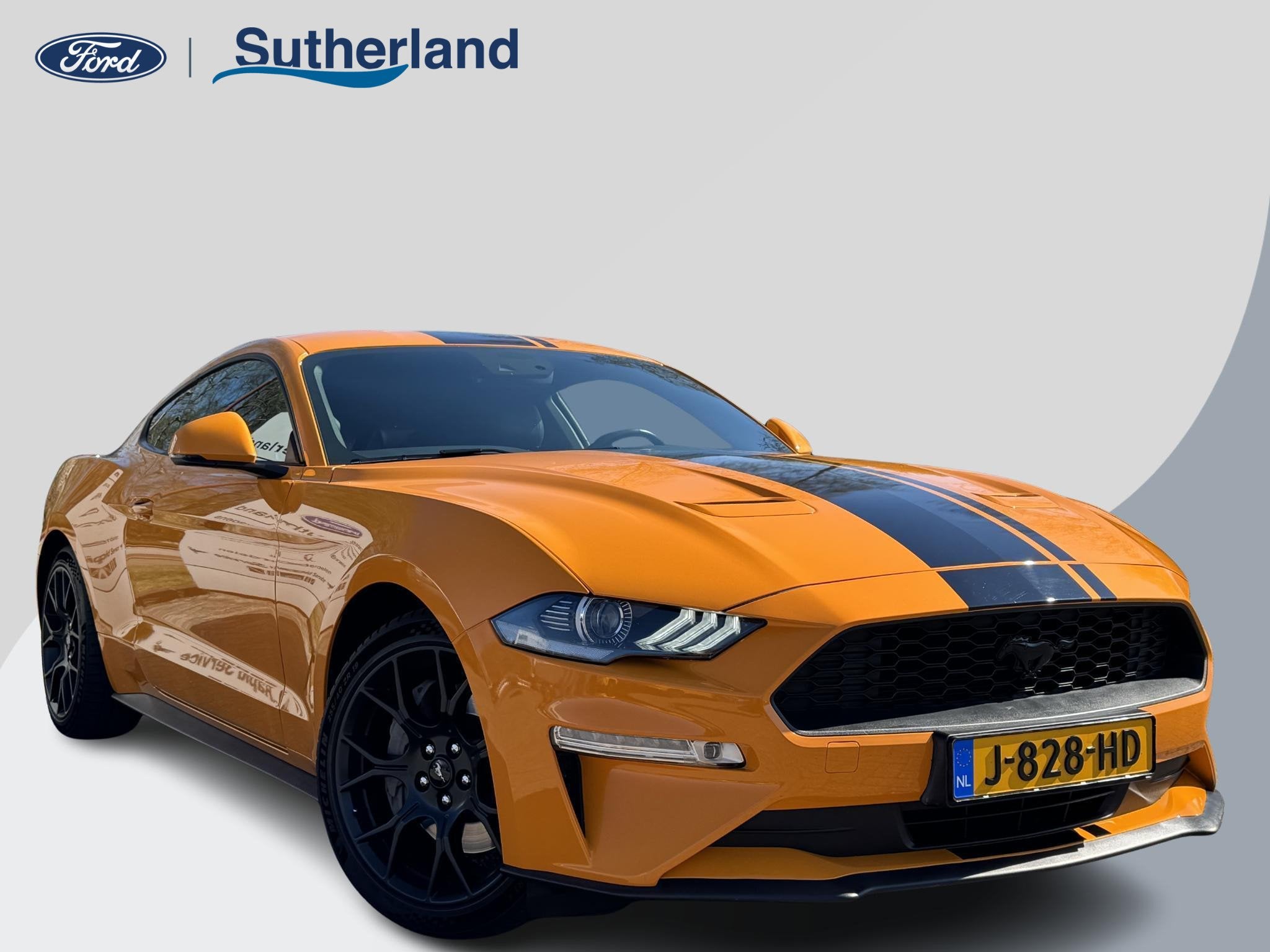 Ford Mustang Fastback 2.3 EcoBoost 289pk | Custom Pack Black, Auto's, 290 pk, Achterwielaandrijving, Gebruikt, Euro 6