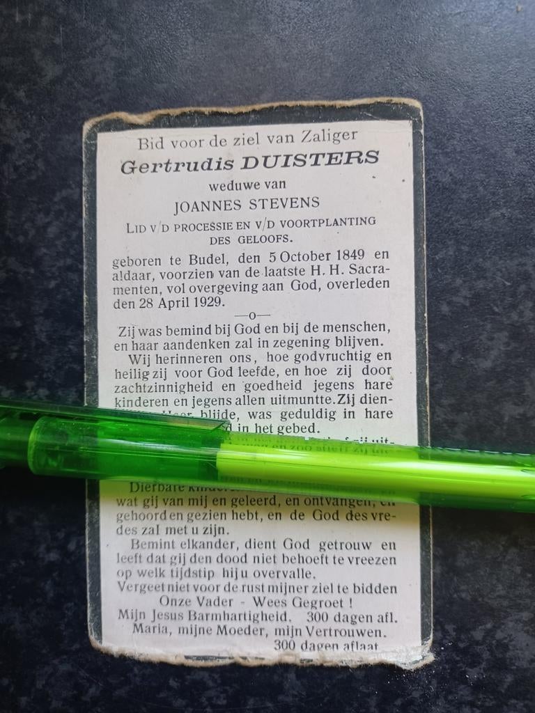 Bidprentje Budel Gertrudis Duisters1849 1929, Ophalen, Bidprentje
