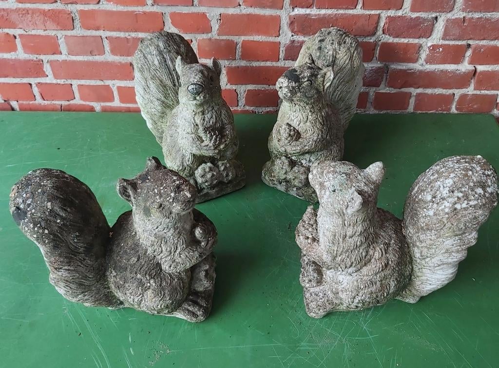Beeld beelden betonnen beelden eekhoorns decoratie, Ophalen