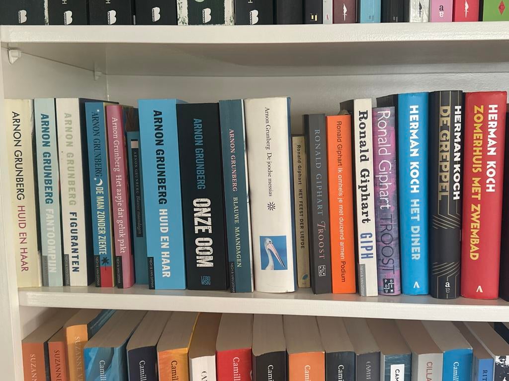 Boeken Arnon Grünberg, Herman Koch, Ronald Giphart, Boeken, Romans, Gelezen, Nederland, Ophalen of Verzenden