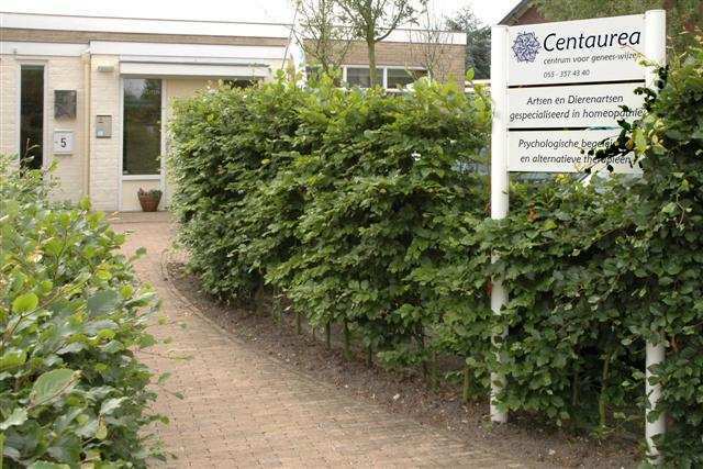 Centaurea, nu ook praktijkruimte te huur, Komt aan huis, Homeopathie