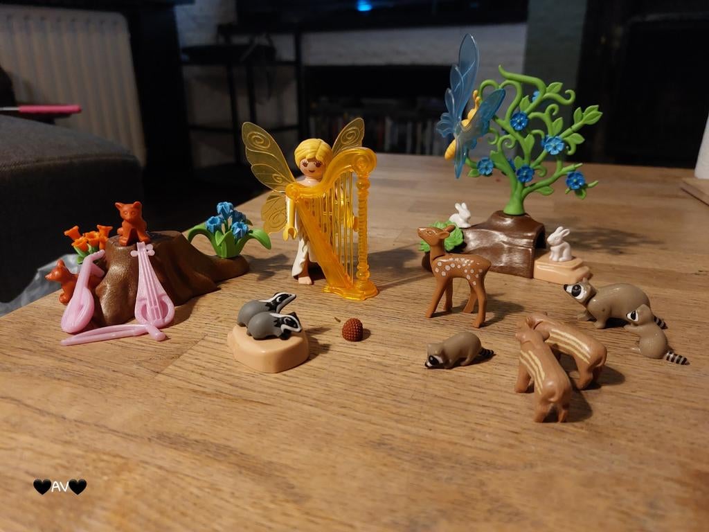 Playmobil Fairies COMPLEET, Ophalen of Verzenden, Zo goed als nieuw