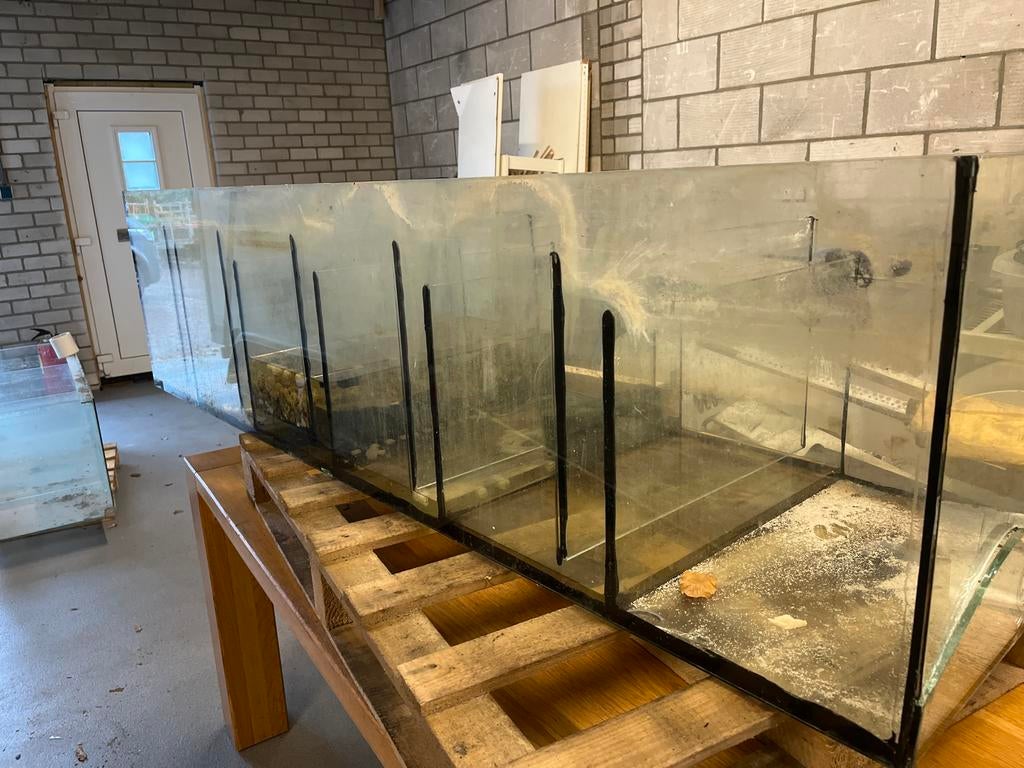 Grote bioloog met 6 kamers, Ophalen of Verzenden, Gebruikt