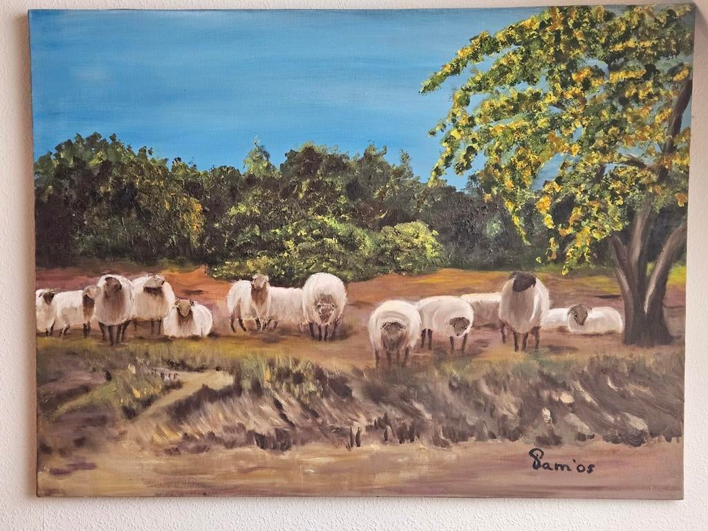 Schilderij - Schapen op de Hei - Acryl 60x80cm, Ophalen of Verzenden
