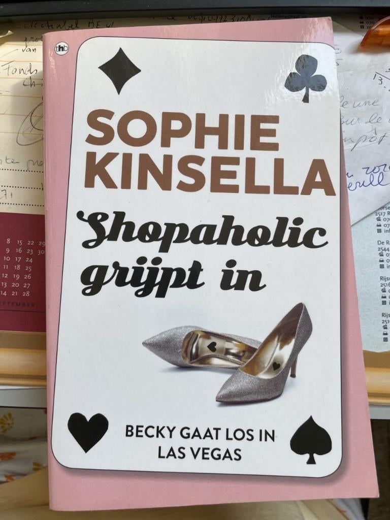 Sophie kinsella/ shopaholic grijpt in, Ophalen of Verzenden, Zo goed als nieuw