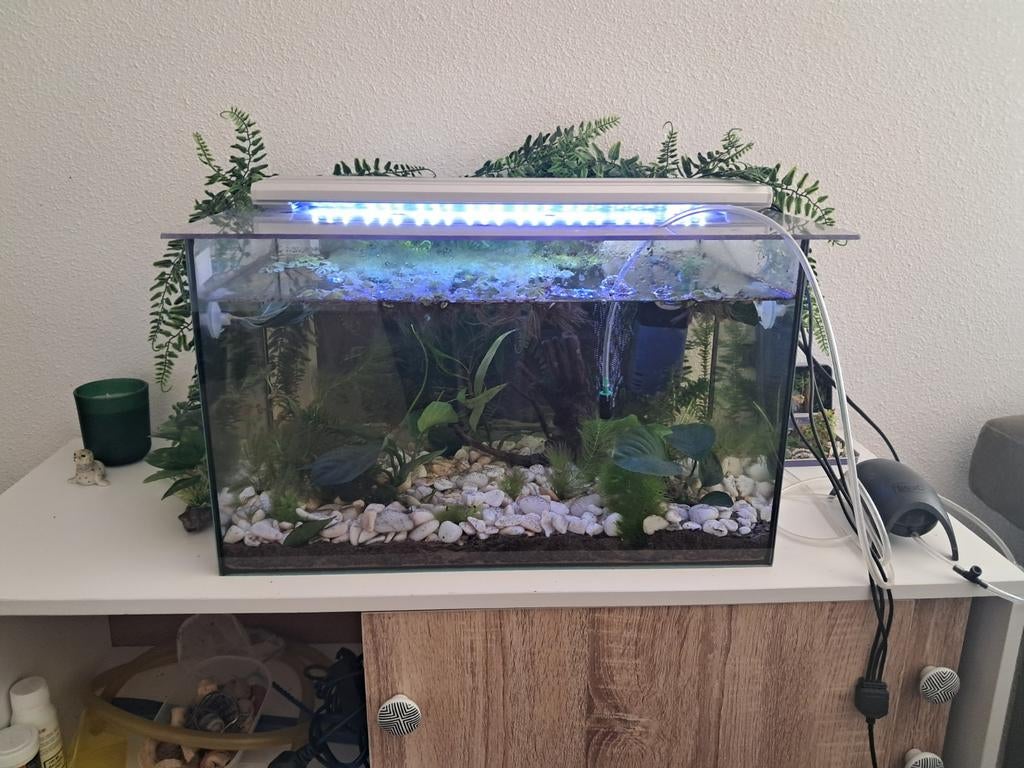 50 liter aquarium met toebehoren, Ophalen, Zo goed als nieuw, Leeg aquarium
