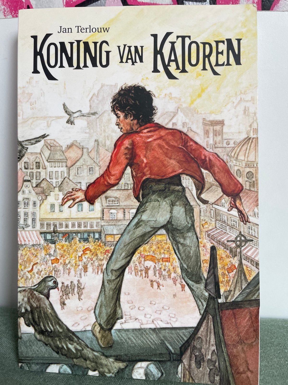 Koning van Katoren - Jan Terlouw (Jeugdboek), Ophalen, Gelezen, Fictie