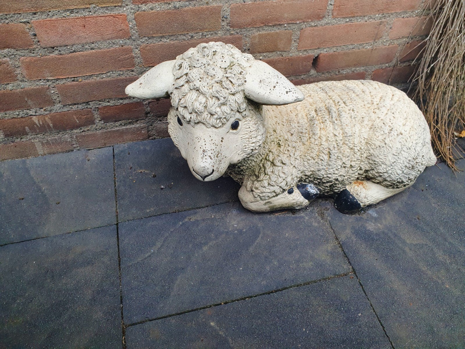 Schaap of lammetje van beton ,erg zwaar., Tuin en Terras, Tuinbeelden, Ophalen