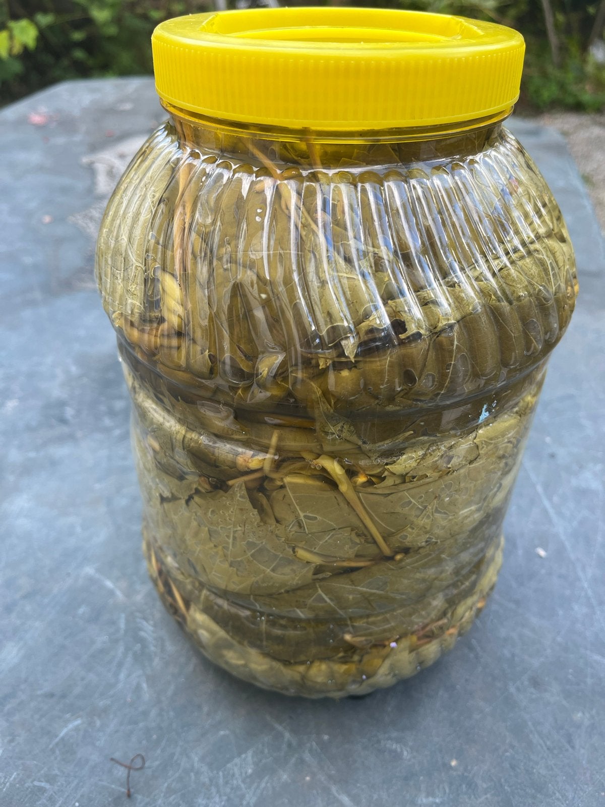 Sarma bladeren voor Sarma dolma, Ophalen of Verzenden