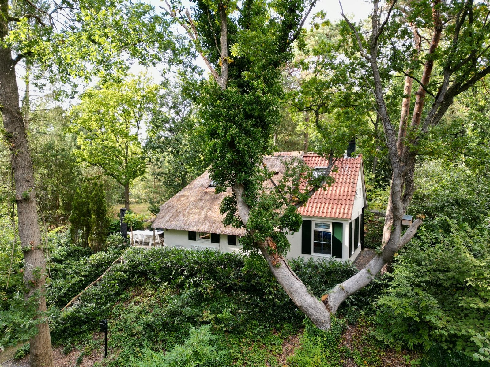 Nazomeren op grens Drenthe/Overijssel, Eigenaar