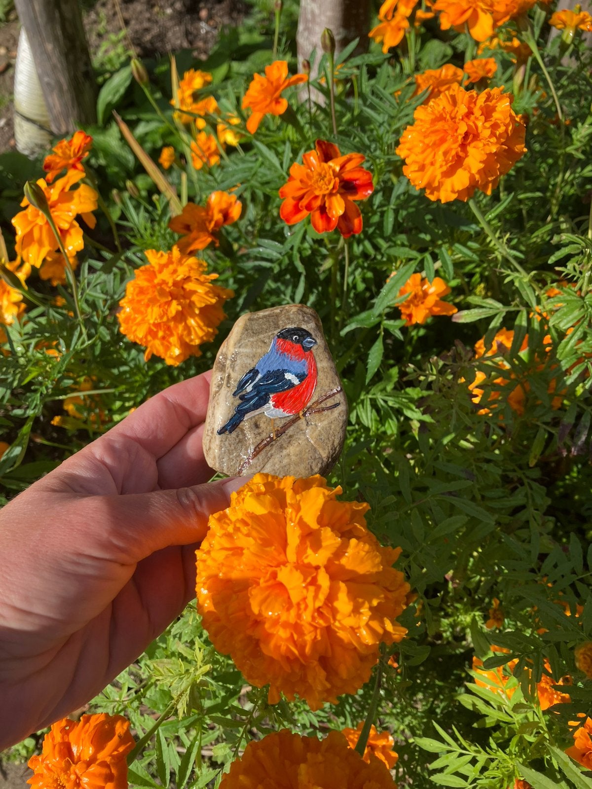 Beschilderde steen vink, Hobby en Vrije tijd, Ophalen of Verzenden, Nieuw