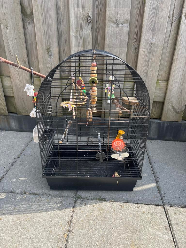 Vogelhuisje gebruikt, Ophalen, Zo goed als nieuw, Hout, Vogelkooi