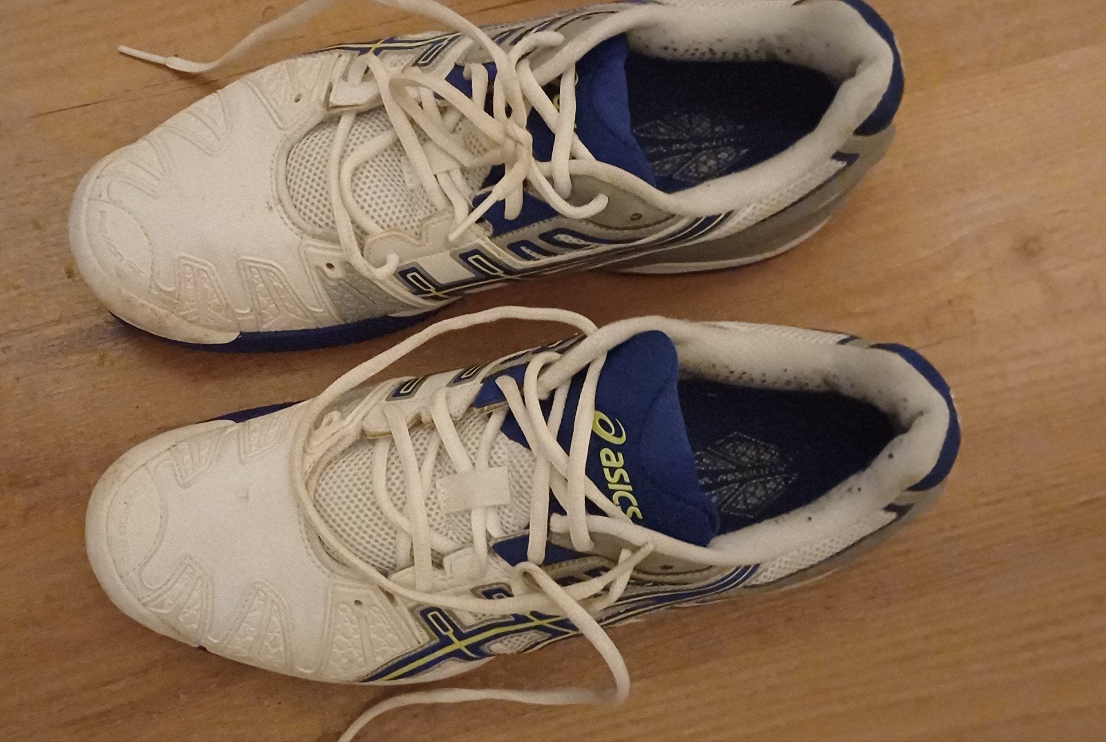 Asics zaalschoenen, maat 42,5, Ophalen, Gebruikt