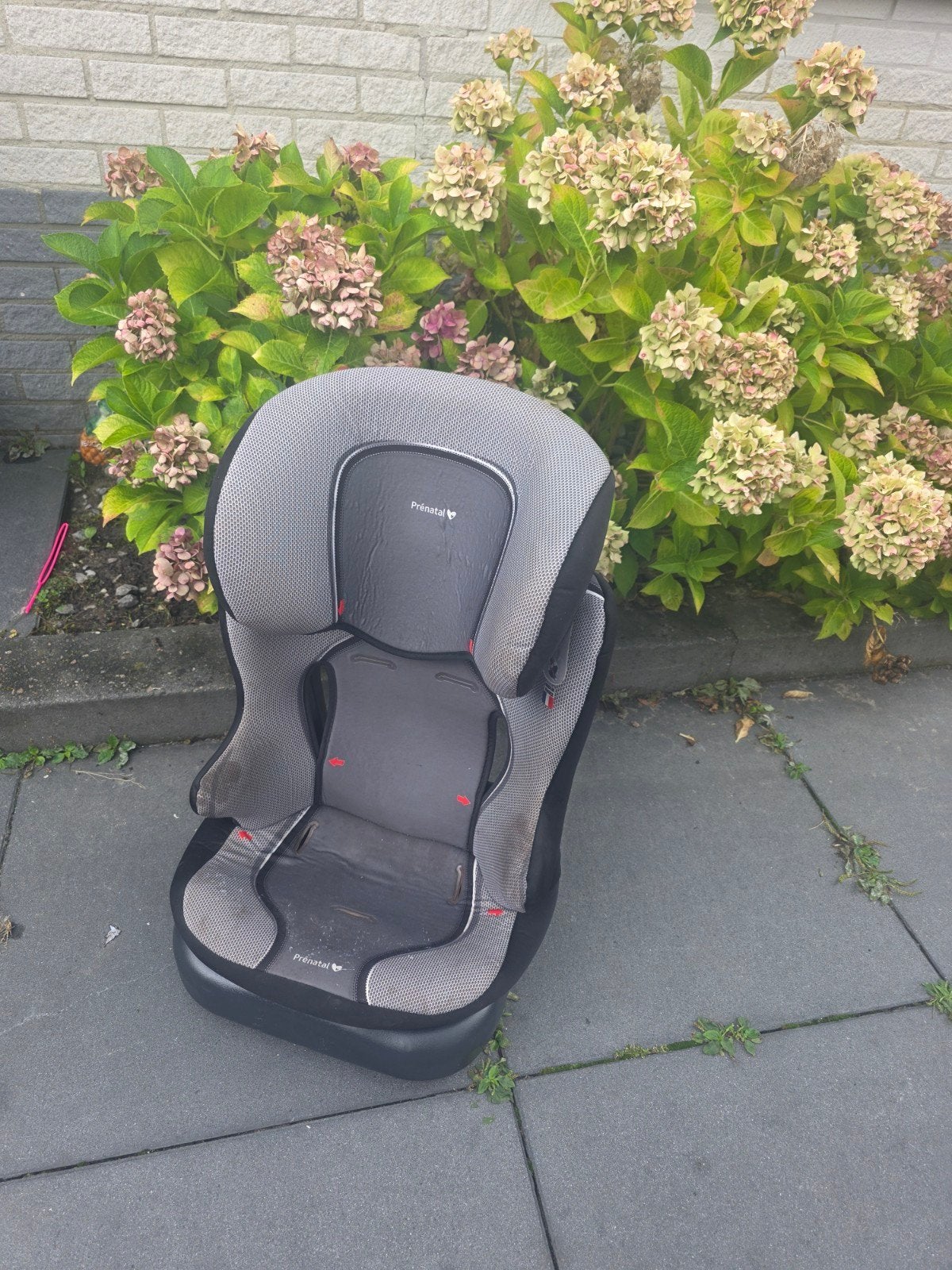 Prenatal autostoel - Gebruikt gratis, Ophalen, Gebruikt, Overige merken, Autogordel