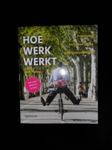 hoe werk werkt- Jolet Plomp nieuw, Ophalen of Verzenden, Nieuw, Management