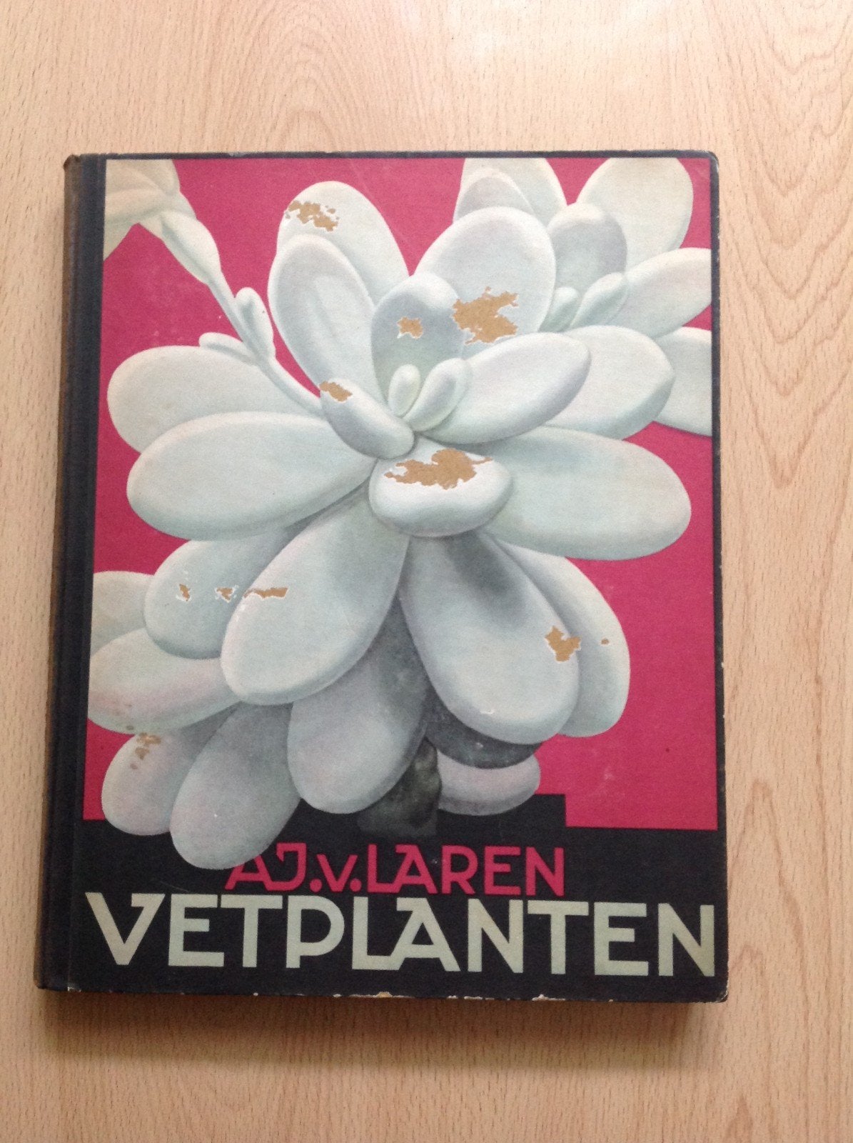 Vetplanten - A.J. van Laren (1932) Verkade Album, Ophalen of Verzenden, Gelezen, Bloemen, Planten en Bomen, A.J. van Laren