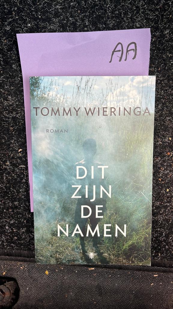 Dit zijn de namen - Tommy Wieringa (Roman), Boeken, Ophalen of Verzenden, Zo goed als nieuw, Nederland