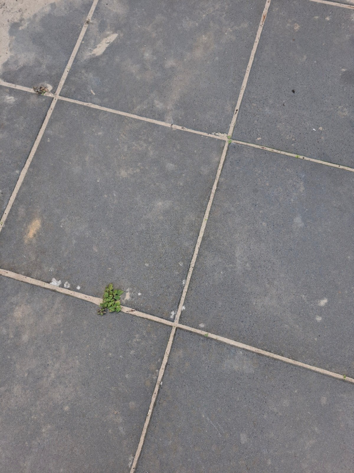Gebruikte grijze terrastegels, Ophalen, Gebruikt, 10 m² of meer, Terrastegels