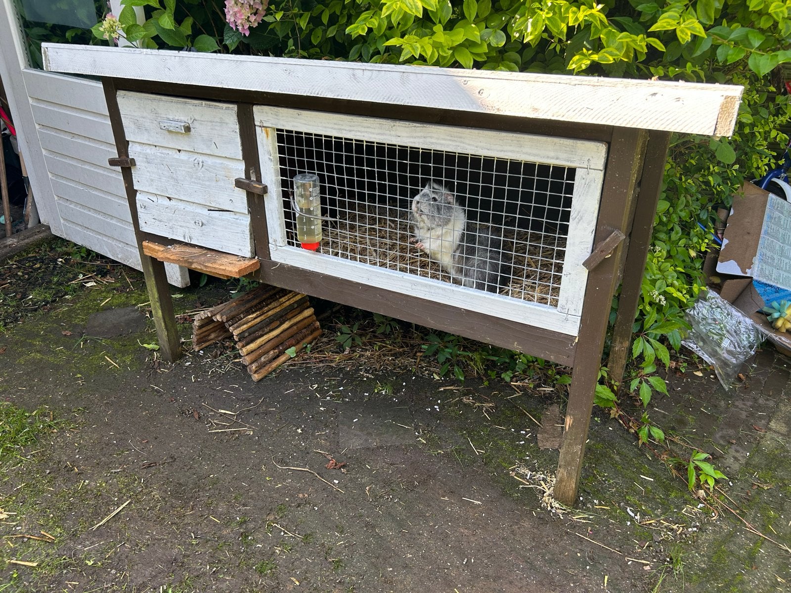 Gratis Hok voor konijn of cavia, Dieren en Toebehoren, Knaagdieren en Konijnen | Hokken en Kooien, Ophalen, Hok, Cavia, Minder dan 60 cm