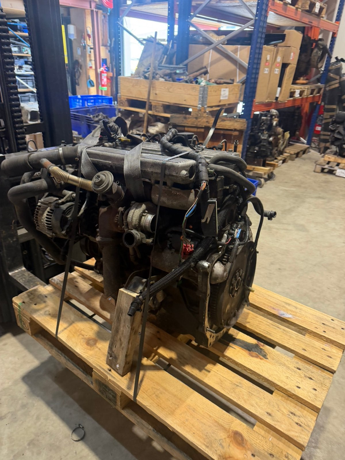 Land rover 300tdi motor, Ophalen of Verzenden, Land rover, Info@gmail.com, Groninge.