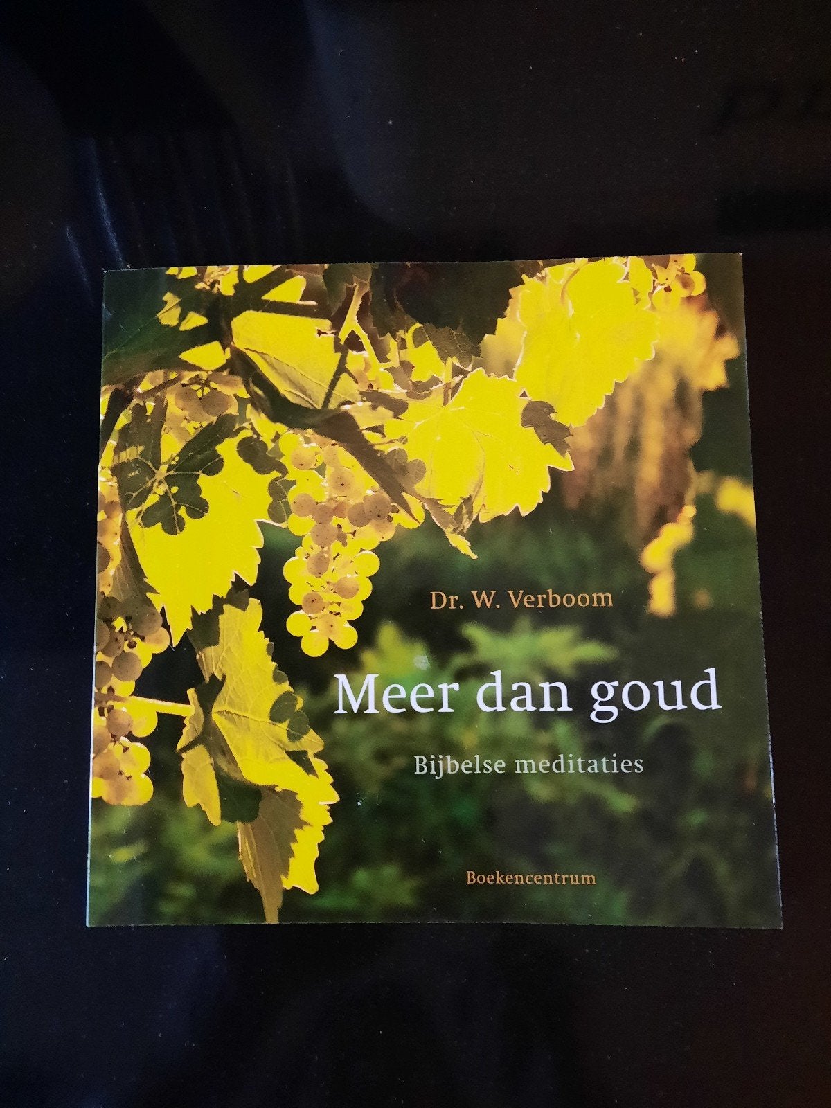 Meer dan goud - Bijbelse meditaties door Dr. W. Verboom, Ophalen of Verzenden, Zo goed als nieuw, Dr. W. Verboom, Christendom | Protestants