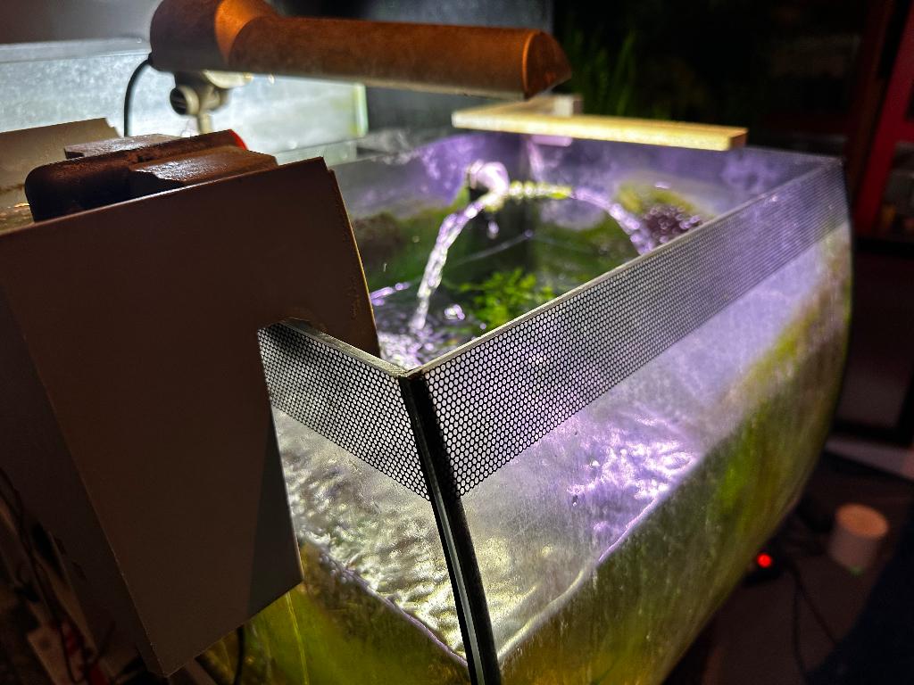 Fluval 59 liter mooi design gebogen raam, Ophalen, Zo goed als nieuw, Leeg aquarium