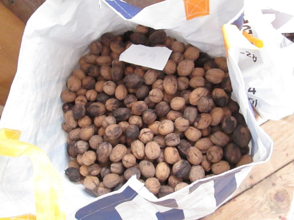 10 kg walnoten+2kg tamme kastanjes  samen 20euro, Ophalen