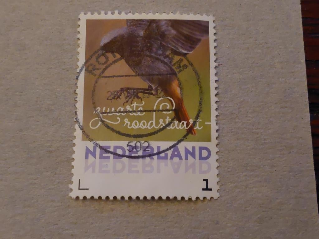 Nederland - Lentevogels - Zwarte Roodstaart - 2017, Ophalen of Verzenden