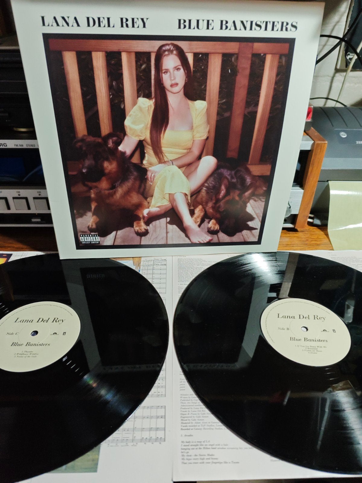 Lana Del Rey - Blue Banisters Dubbel-LP, Ophalen of Verzenden, 12 inch, Dubbel-LP, Dubbel-LP