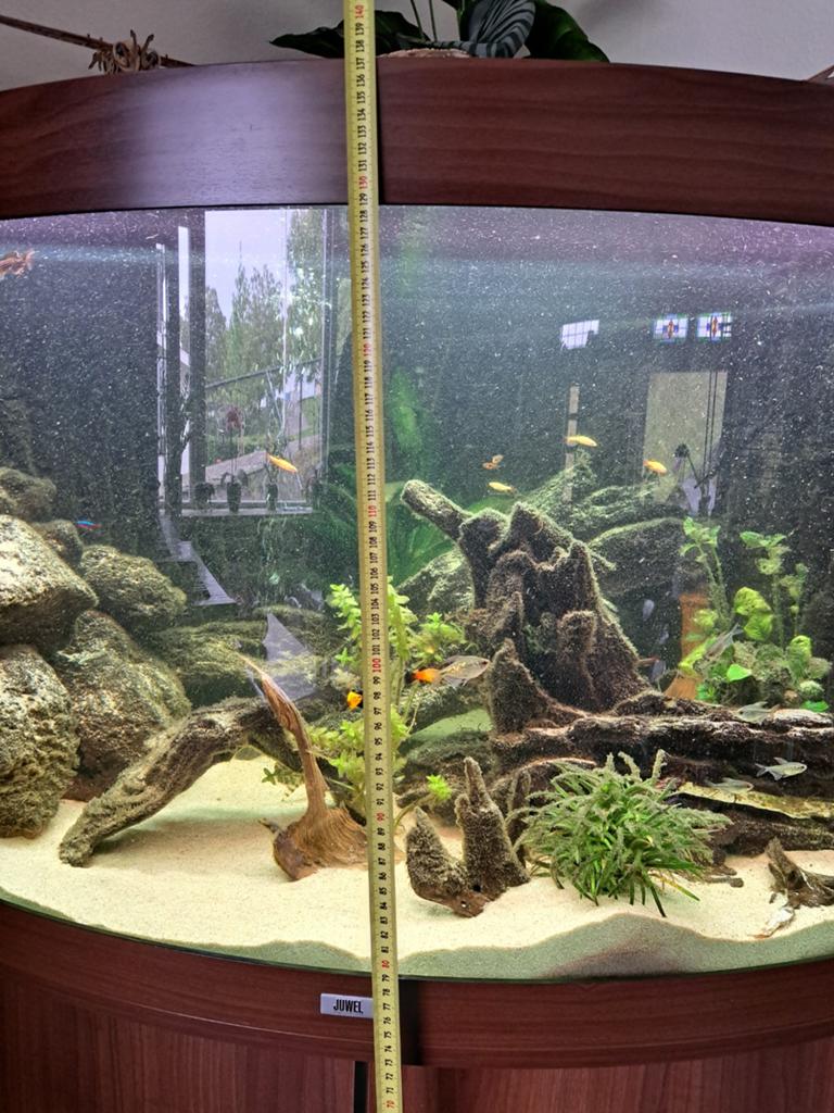 Hoek Aquarium, Dieren en Toebehoren, Vissen | Aquaria en Toebehoren, Ophalen of Verzenden, Overige typen