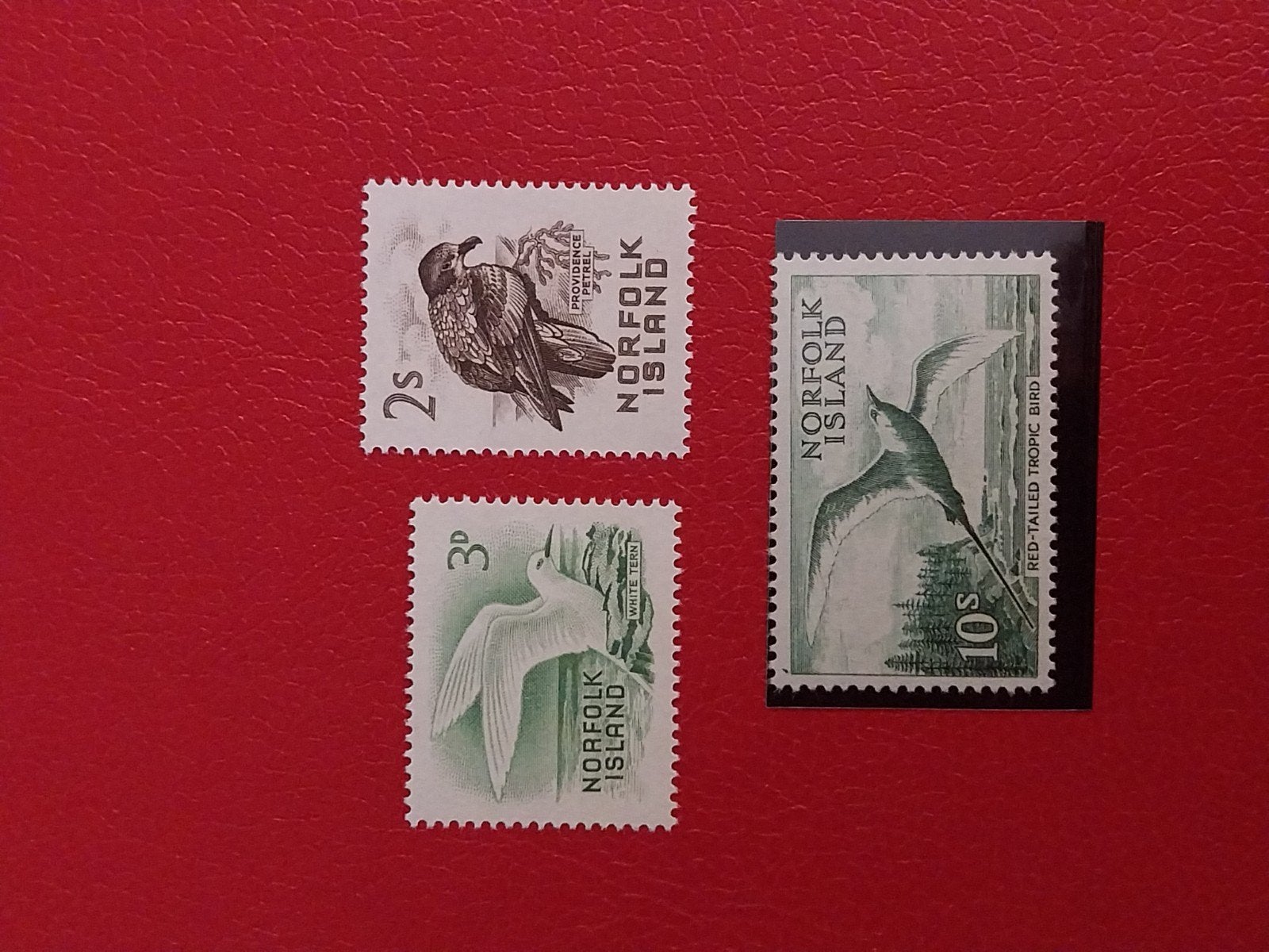 Norfolk island 28-33-36 vogels 1960 postfris mi 54 euro, Ophalen of Verzenden, Dier of Natuur