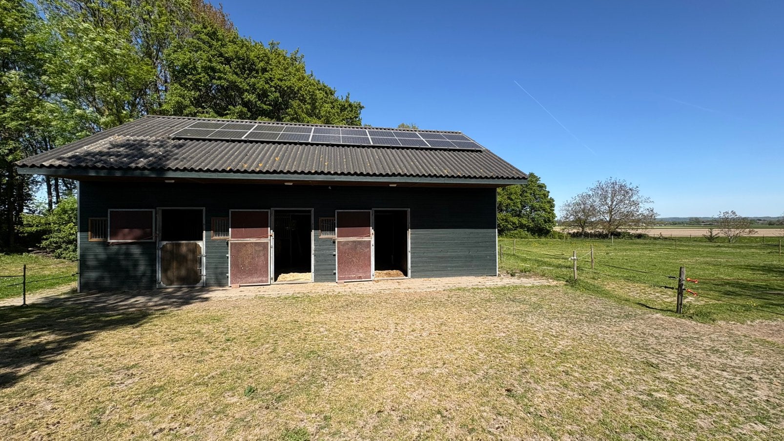 Pensionstalling (ruin), Weidegang, 1 paard of pony