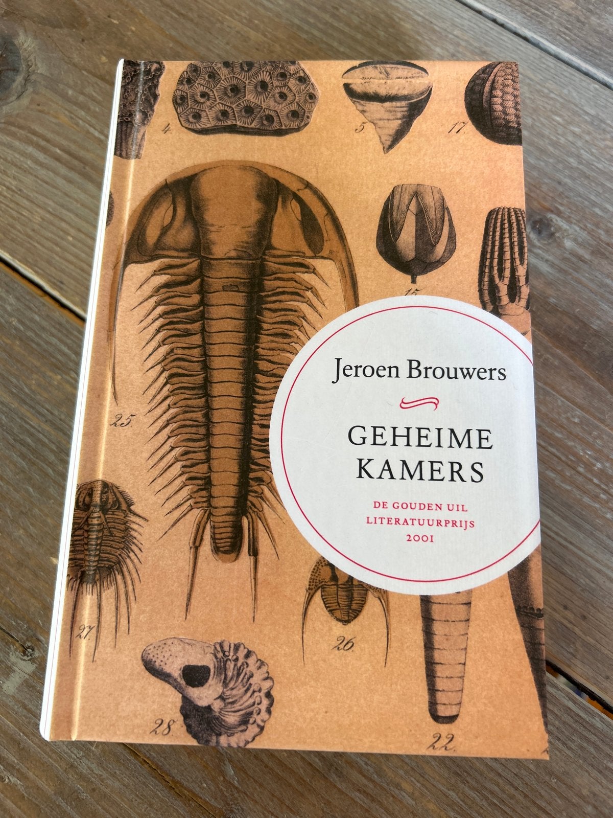 Gebonden uitgave: Geheime Kamers - Jeroen Brouwers, Ophalen of Verzenden, Zo goed als nieuw, Nederland