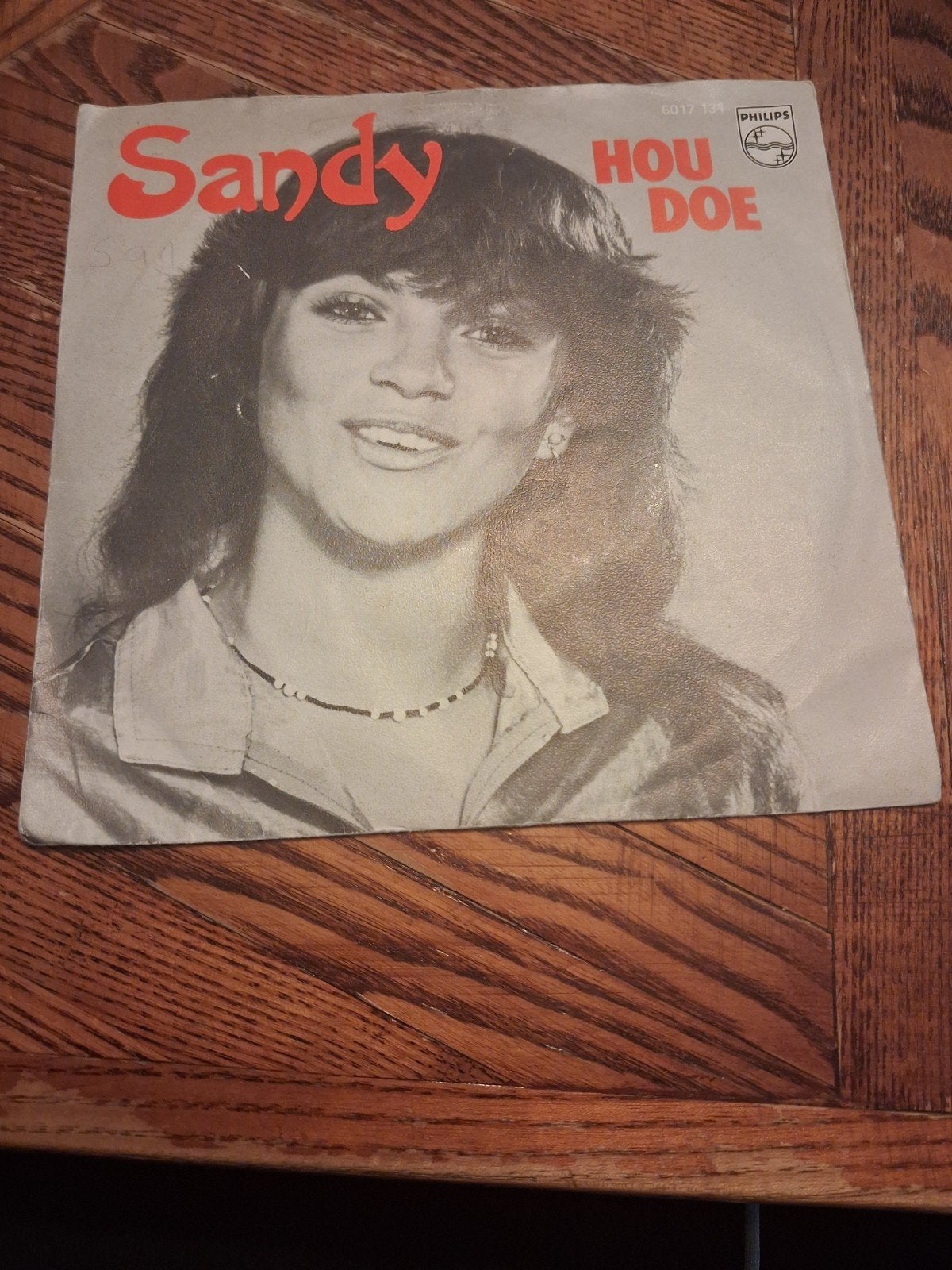 Sandy - Hou Doe (Vinyl Single), Cd's en Dvd's, Ophalen of Verzenden, Gebruikt, 7 inch