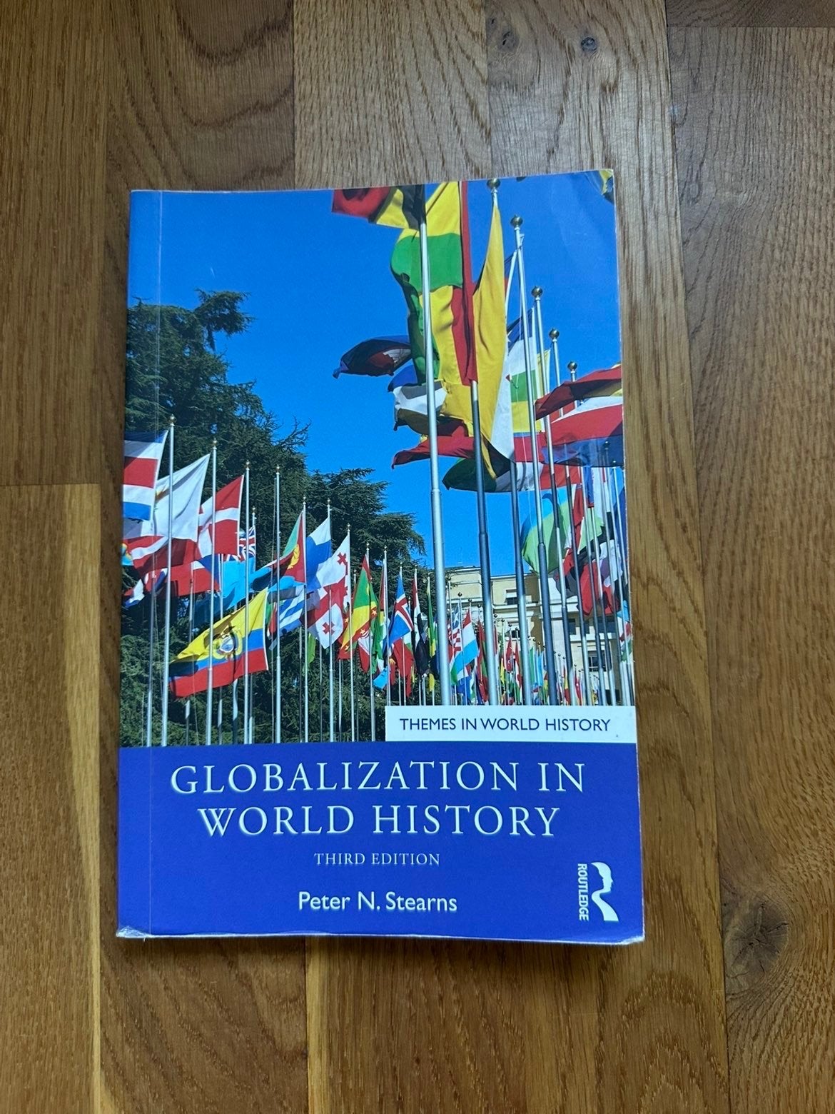 Globalization in World History - Peter N. Stearns, Ophalen of Verzenden, Gamma, Zo goed als nieuw, WO