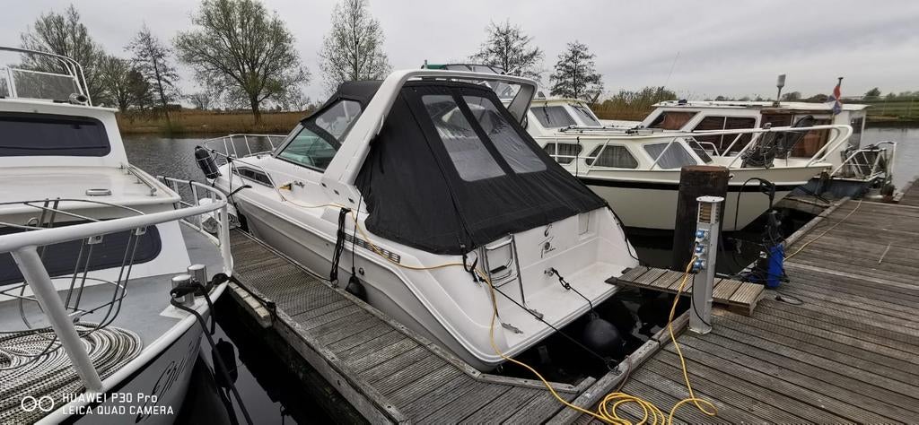 Sea Ray Sundancer 2900 - Gereviseerde motoren & refit, Benzine, 9 m, Gebruikt, Binnenboordmotor