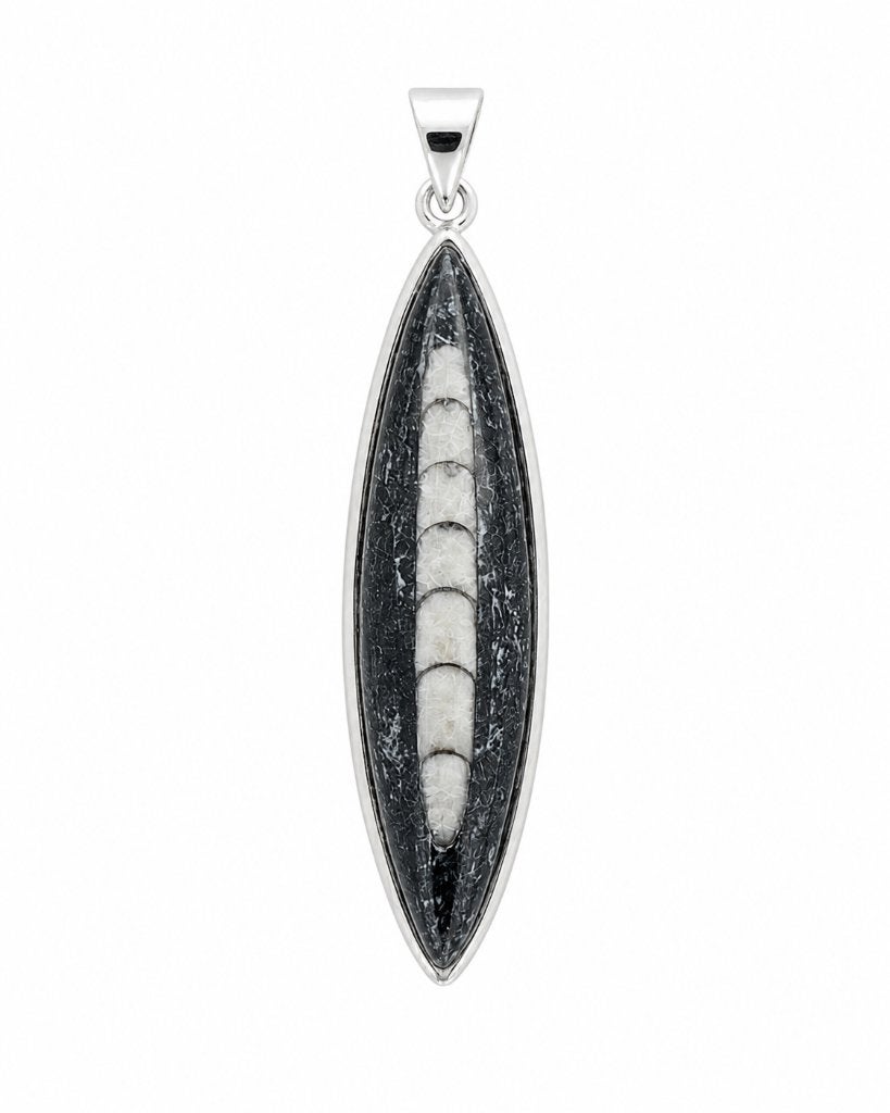 Orthoceras Hanger - Echt Zilver, Info@sacredstones.nl, Verzenden, Nieuw, Met edelsteen