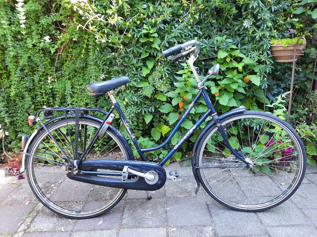 Prima Gazelle damesfiets (zonder versnellingen)te koop, Ophalen, Terugtraprem, Gazelle, 53 tot 56 cm
