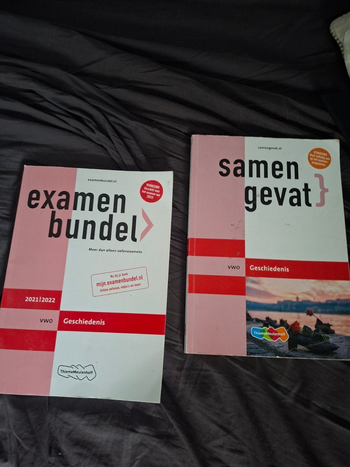 Examenbundel & Samengevat VWO Geschiedenis 2021/2022, ThiemeMeulenhoff, Ophalen of Verzenden, Gamma, WO