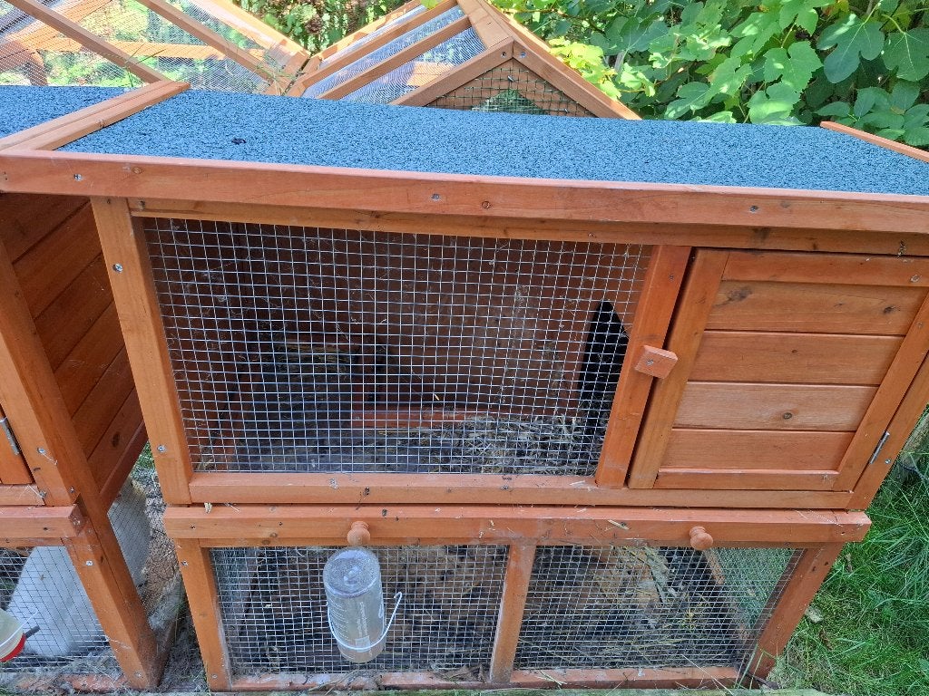 konijnenhok met buitenren, Dieren en Toebehoren, Ophalen, 90 cm of meer, Konijn, Hok