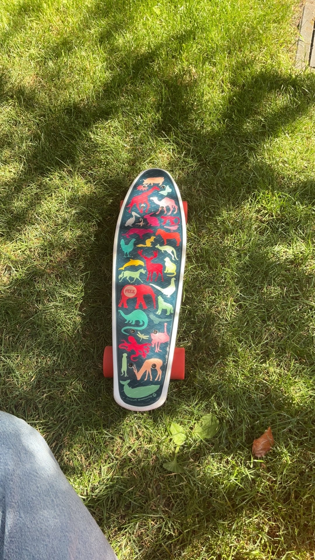 Skateboard fizz, Sport en Fitness, Skateboarden, Ophalen, Gebruikt, Skateboard