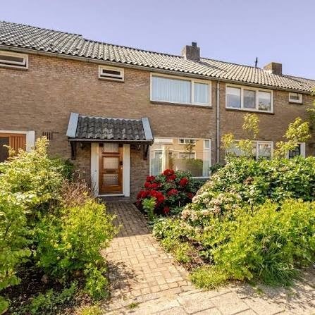 te huur woning in Arnhem 3 kamer appartement, Arnhem