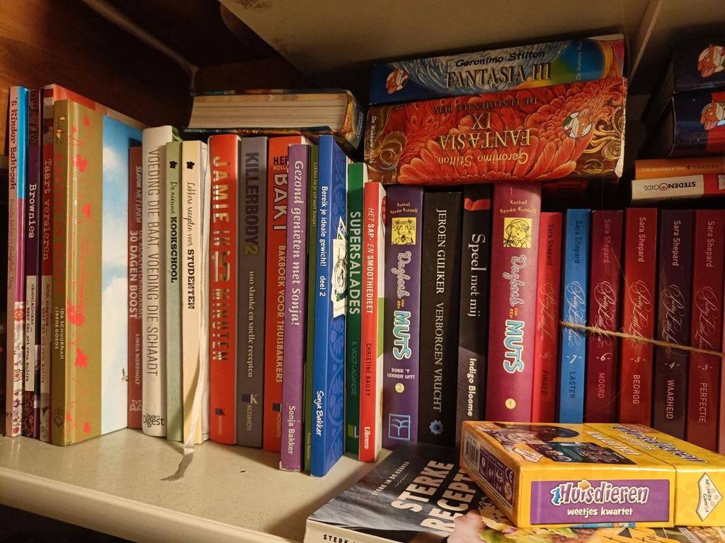 Heel veel rommelmarkt spullen spelletjes boeken speelgoed, Ophalen, Zo goed als nieuw