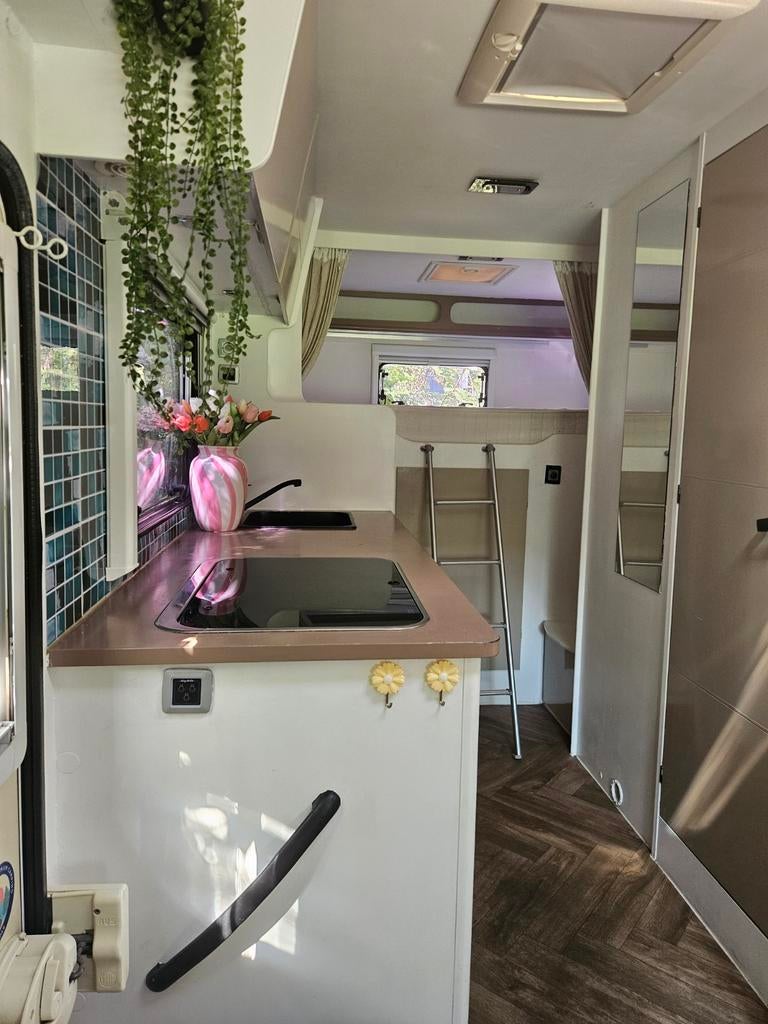 Rimor Koala 722 Elite Camper 5 persoons NIEUWE APK en banden, Alkoof, Ringverwarming, 7 tot 12 maanden geleden, Particulier