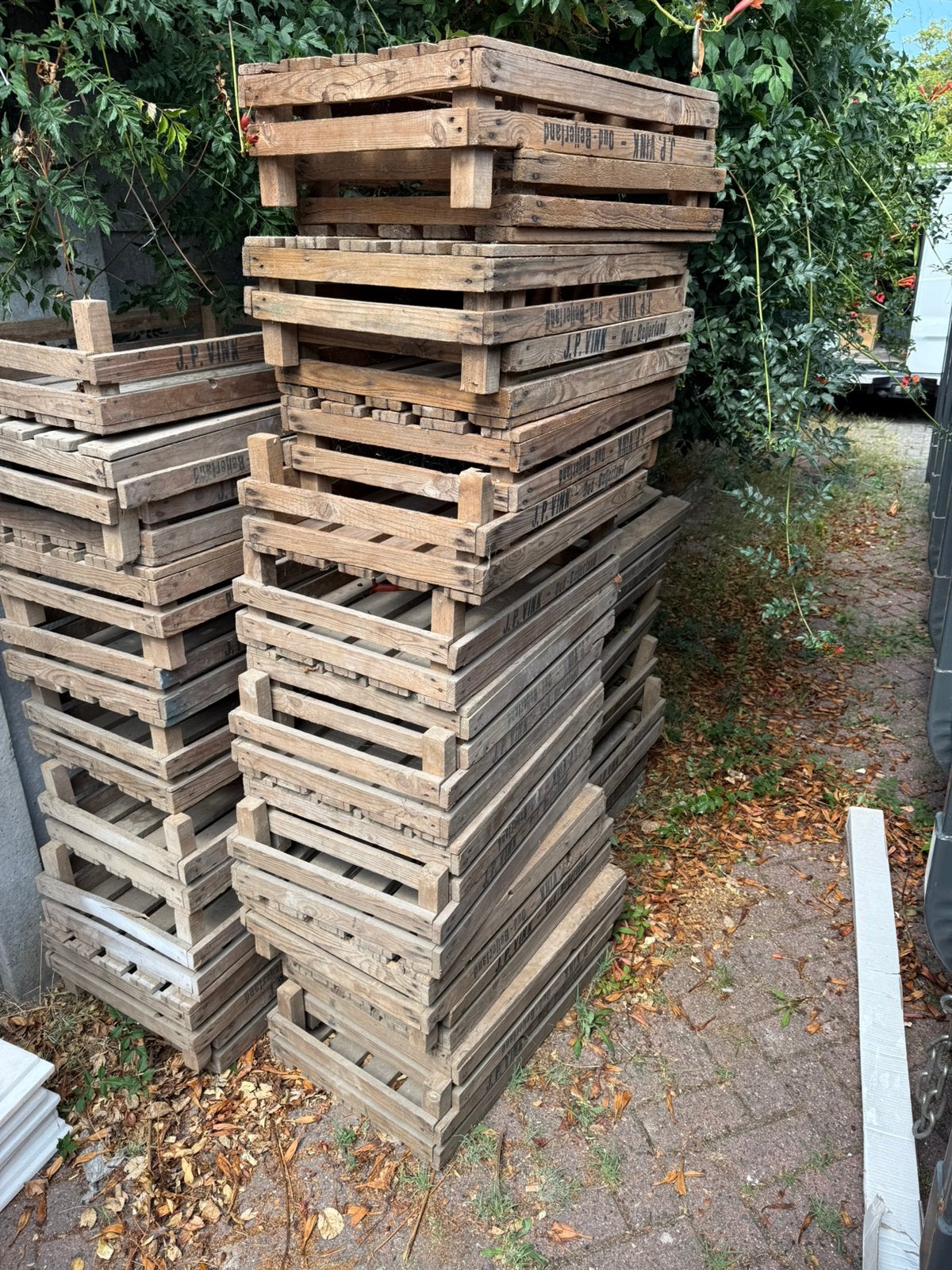 30 originele houten fruitkisten J.P. Vink Oud-Beijerland, Minder dan 3 m³, Ophalen